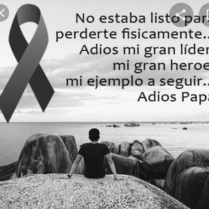 Meet your Posher, Ingrid